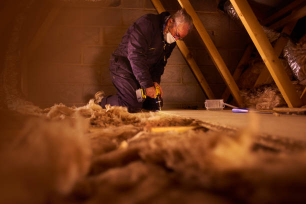 Best Insulation for Specific Applications in Vidalia, GA